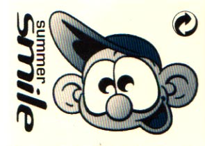 Continuous Flow Summer Smile Adelaide rave flyer featuring the cartoon monkey artwork